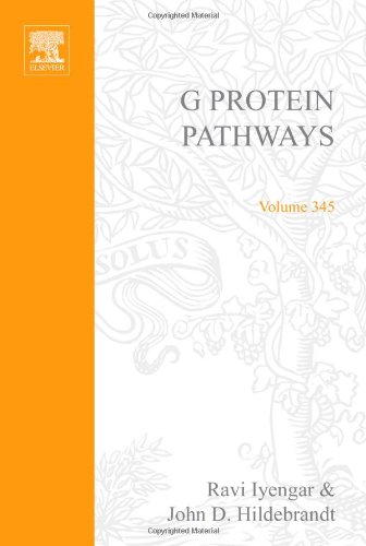 medical/biochemistry/methods-in-enzymology-vol-345-g-protein-pathways-part-c-effector-mechami-9780121822460