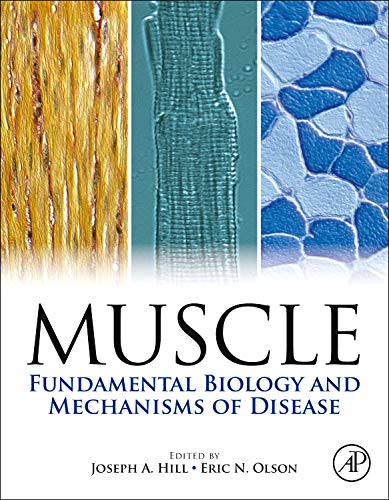 MUSCLE FUNDAMENTAL BIOLOGY AND MECHANISMS OF DISEASE: 2-VOLUME SET,