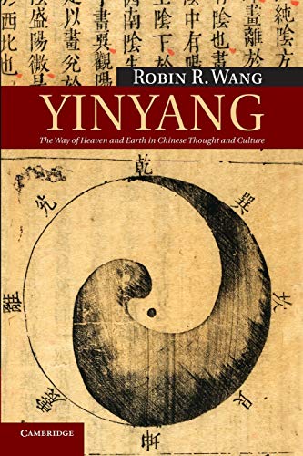 technical//yinyang-9780521165136