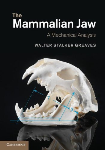 technical/life-sciences/the-mammalian-jaw-9781107016224