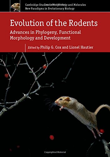 technical/life-sciences/evolution-of-the-rodents-9781107044333