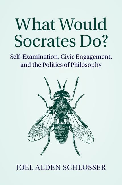 technical//what-would-socrates-do--9781107067424