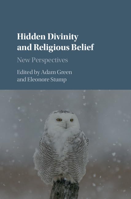 technical//hidden-divinity-and-religious-belief-9781107078130