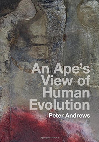 technical/life-sciences/an-ape-s-view-of-human-evolution-9781107100671
