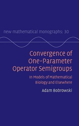technical/mathematics/convergence-of-one-parameter-operator-semigroups-9781107137431