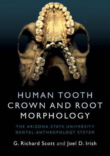 technical//human-tooth-crown-and-root-morphology-9781107480735