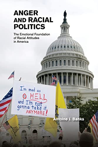 technical//anger-and-racial-politics-9781107629271