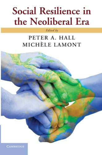 technical//social-resilience-in-the-neo-liberal-era-9781107659841