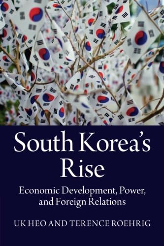 technical//south-koreas-rise-9781107690530
