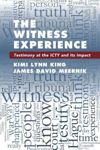 technical//the-witness-experience-9781108402729