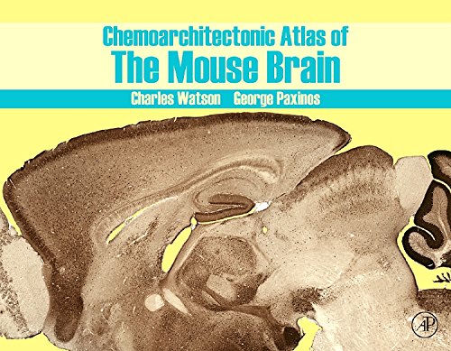 CHEMOARCHITECTONIC ATLAS OF THE MOUSE BRAIN medical/neurology/chemoarchitectonic-atlas-of-the-mouse-brain-9780123742384