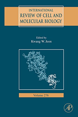 technical/life-sciences/international-review-of-cell-and-molecular-biology-volume-276-9780123748072