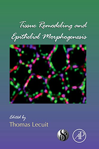 technical/life-sciences/tissue-remodeling-and-epithelial-morphogenesis-volume-89-current-topics-9780123749024
