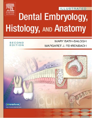 medical/dentistry/illustrated-dental-embryology-histology-and-anatomy-9781416024996