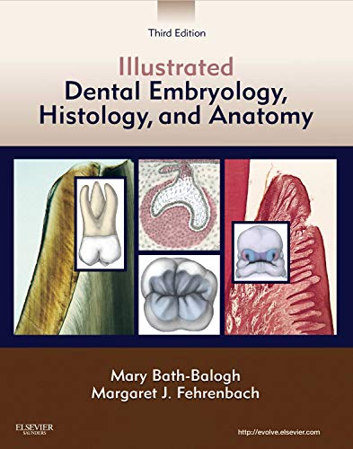 medical/anatomy/illustrated-dental-embryology-histology-and-anatomy-3-9781437717303