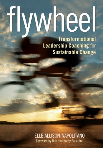 technical//flywheel-9781452260914