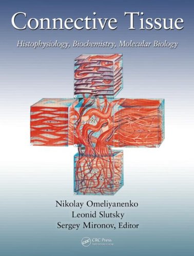 technical/life-sciences/connective-tissue-histophysiology-biochemistry-molecular-biology-9781482203585
