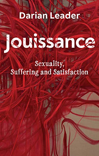 technical//jouissance-sexuality-suffering-and-satisfaction-9781509548842