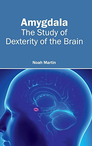 medical/neurology/amygdala-the-study-of-dexterity-of-the-brain-9781632410399
