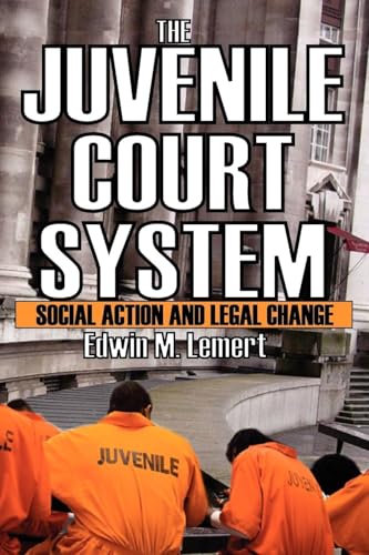 technical/law/juvenile-court-system-9780202363400