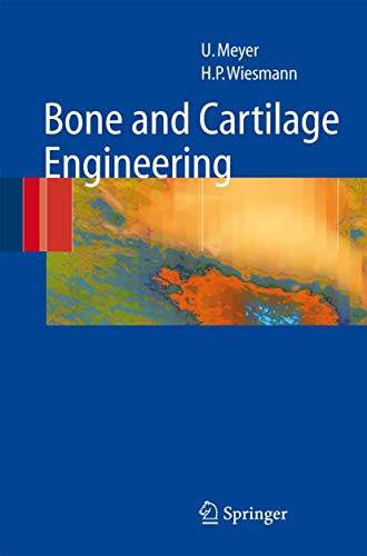 medical/orthopaedics/bone-and-cartilage-engineering-9783540253471