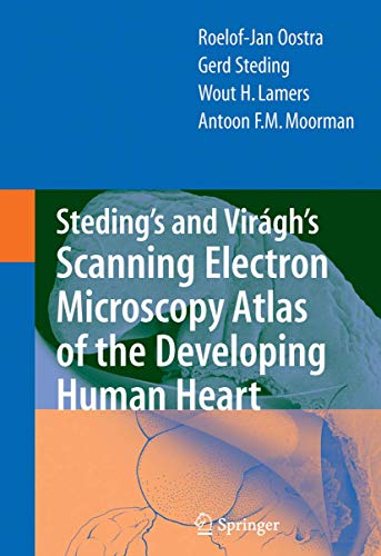 medical/cardiology/steding-s-and-viragh-s-scanning-electron-microscopy-atlas-of-the-developing-human-heart-9780387369426