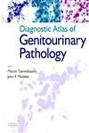 medical/pathology/diagnostic-atlas-of-genitourinary-pathology-9780443071300