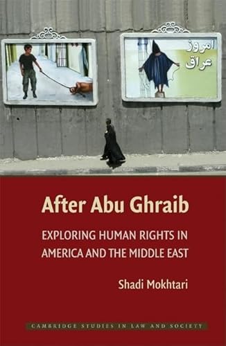 technical/law/after-abu-ghraib-9780521767538