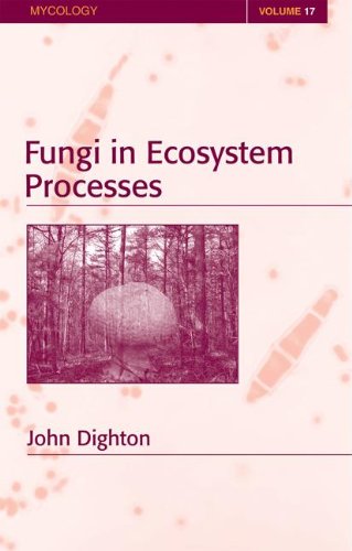 technical//fungi-in-ecosystem-processes-9780824742447