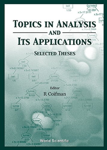 technical/mathematics/topics-in-analysis-and-its-applications-selected-theses-9789810240943