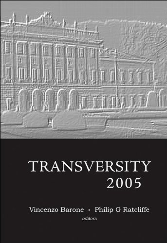 technical/general/transversity-2005--9789812568465