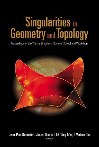 technical/mathematics/singularities-in-geometry-and-topology---proceedings-of-the-trieste-singularity-summer-school-and-workshop-9789812700223