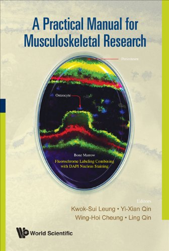 medical/orthopaedics/a-practical-manual-for-musculoskeletal-research-9789812706102